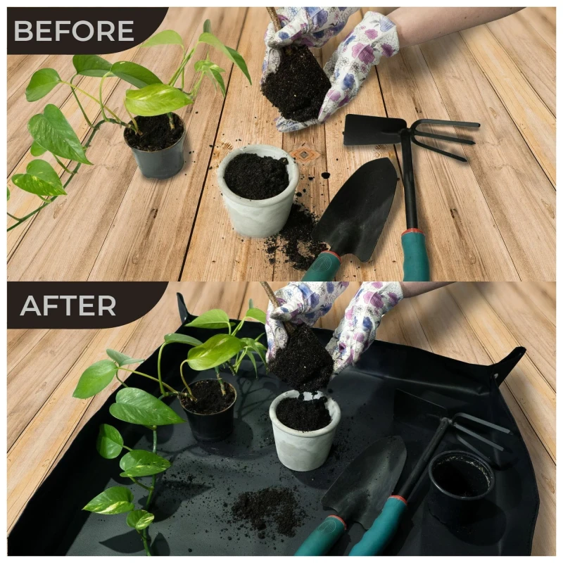 d440c0c8aa479dc11e884f479745d985